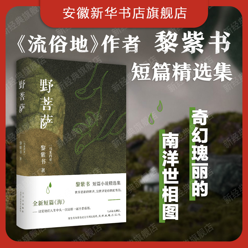【正版】 野菩萨 现货 黎紫书 《流俗地》作者短篇小说精选集 收入新短篇《海》 王德威  马来西亚小说 新经典图书 包邮