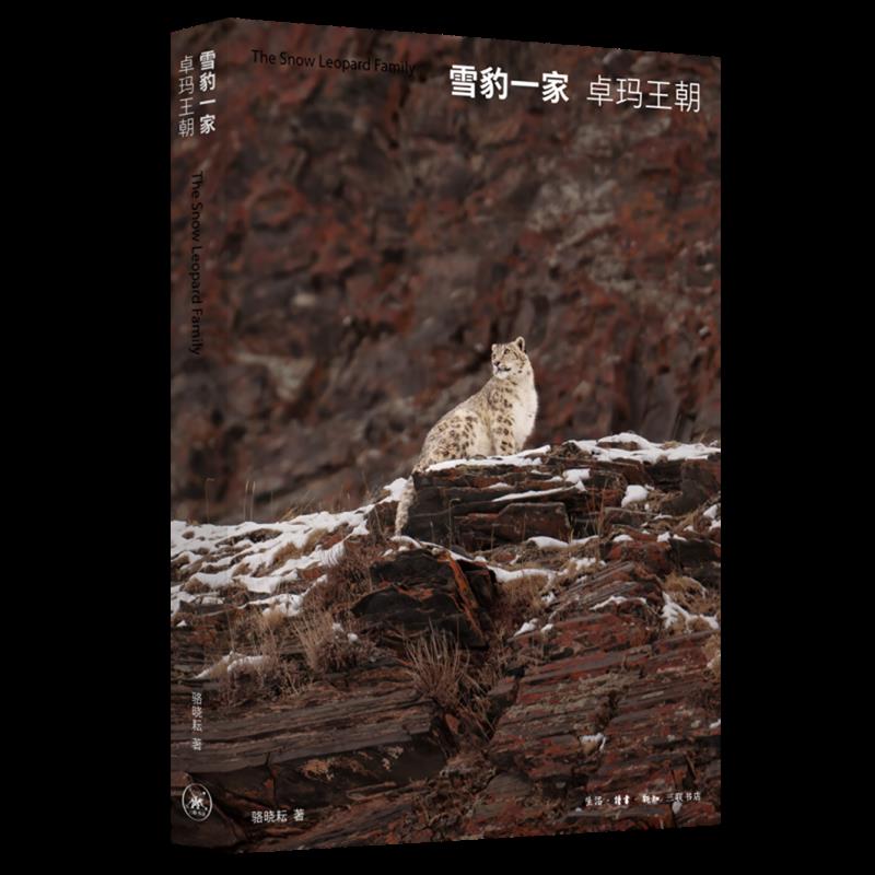 【】雪豹一家卓玛王朝骆