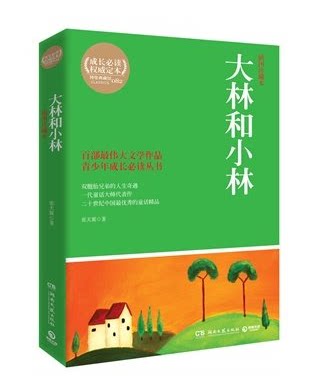 大林和小林插图珍藏本 张天翼 青少年成长丛书 百部伟大文学作品 双胞胎兄弟的人生奇遇一代童话大师代表作 湖南文艺出版社