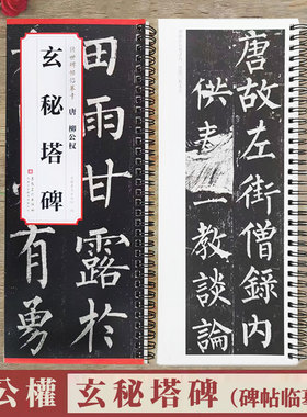 柳公权玄秘塔碑 传世碑帖临摹卡 原碑帖全文1册 柳体楷书毛笔书法练字帖附简体旁注字卡入门临摹范本 安徽美术出版社