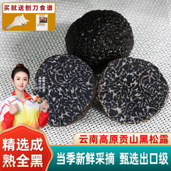 新鲜黑松露500g新鲜野生松露菌云南特产白松露菌菌菇类猪拱菌块菌