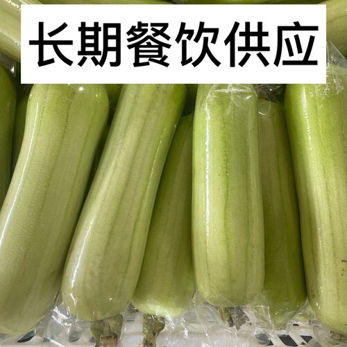 新鲜白玉丝瓜福建蔬菜肉丝瓜牛奶丝瓜香丝瓜农家现摘现发本地丝瓜
