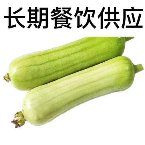 新鲜白玉丝瓜福建蔬菜肉丝瓜牛奶丝瓜香丝瓜农家现摘现发本地丝瓜