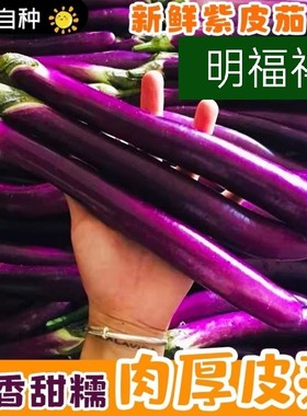 茄子新鲜 线茄子细长小茄子福建农家现摘茄瓜绿色天然蔬菜1-5斤