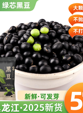 东北绿心黑豆 新货黄仁打豆浆专用五谷杂粮农家黑豆青仁绿芯尝鲜