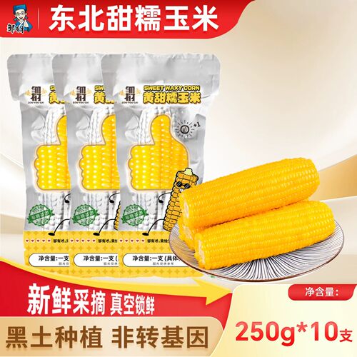 东北黄糯玉米现摘清甜粘糯