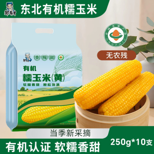 东北有机黄糯玉米棒真空黏玉米棒黄糯苞米现摘甜粒粘早餐非即食