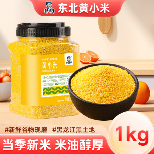 东北黄小米米油丰富金黄透亮