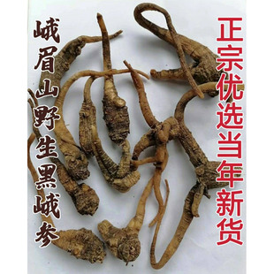 四川峨眉山土特产野生峨山参带皮黑田七中药材农副产品250克包邮