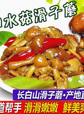 长白山滑子蘑东北特产香菇