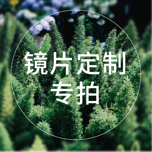 实体店定制镜片地球是圆的
