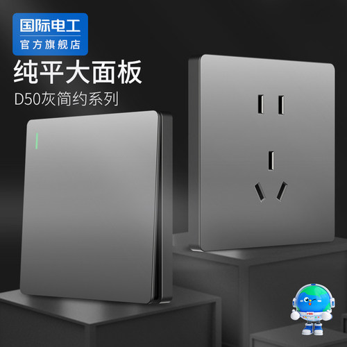 国际电工86型一开单控五孔插座