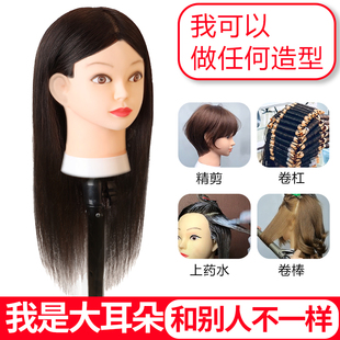 全真发模特头学徒练习剪发教习头假人头摸美发专用可烫卷漂染造型