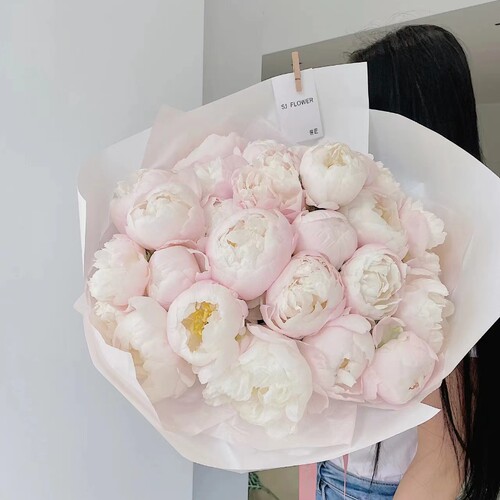 【现货顺丰】精品山东芍药   美国小姐