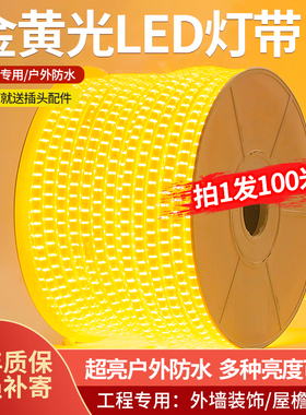 金黄光LED灯带条220V工程亮化景观照明房檐外墙户外防水室外装饰