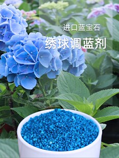 绣球月季调蓝剂 控释肥 缓释肥专用硫酸铝调蓝剂颗粒无尽夏花调色