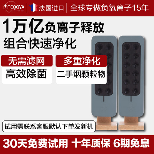 法国进口负离子空气净化器