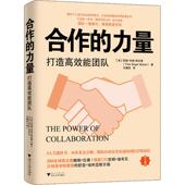 Singer 合作 打造能团队 西娅·辛格·斯皮策 Spitzer 力量 浙江大学出版 9787308190091 国图书店正版 美 Thea 社