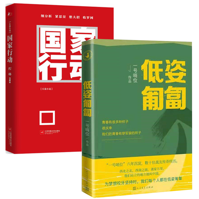 全2册低姿匍匐一号哨位+国家行动程琳著六年沉淀数十战友传奇经历哨位君军人成长散文集真实的军旅生活和内心世界官场小说