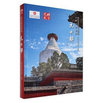 国图书店正版 元大都 王岗著 9787200185225 北京出版社