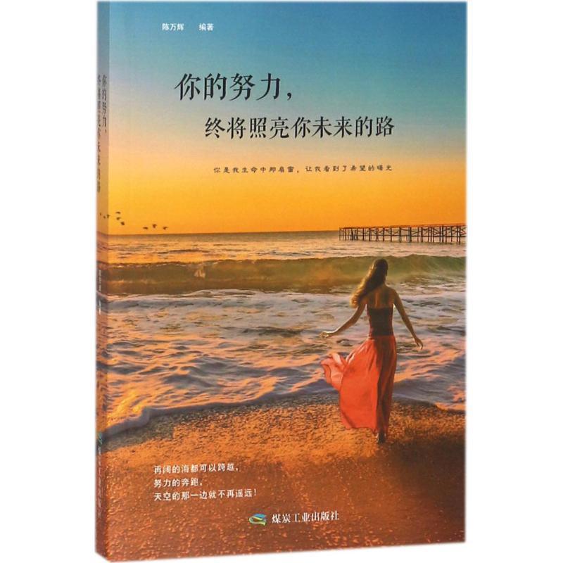 全新正版 你的努力，终将照亮你未来的路:你是我生命中那扇窗，让我看到了希望的曙光陈万辉煤炭工业出版社心理通俗读物现货高性价比高么？