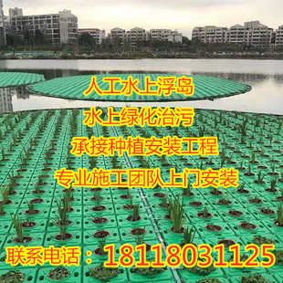 水上环保生态浮岛浮床人工制造水生植物种植浮床净化水质浮盘绿化