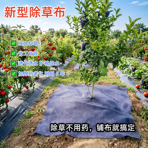 农用果园防草布加厚土工布10年不用除草透气透水保湿保肥果树防寒