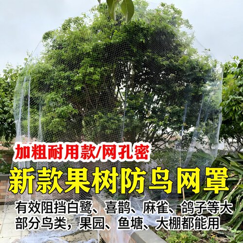 果树尼龙防鸟网防鸟神器加粗耐用