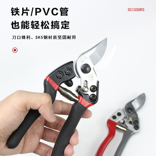 万恒K5钢果园专用修枝剪工具粗枝果树大剪刀园林园艺盆景鲜花剪子