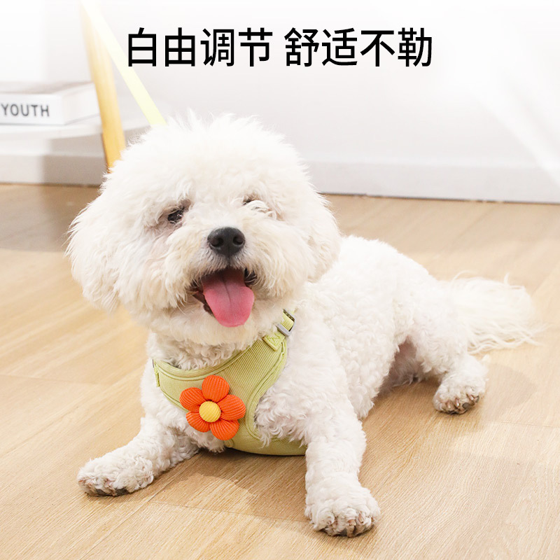 皮皮淘花瓣胸背带宠物牵引绳猫咪幼犬狗绳牵引用品狗狗牵引