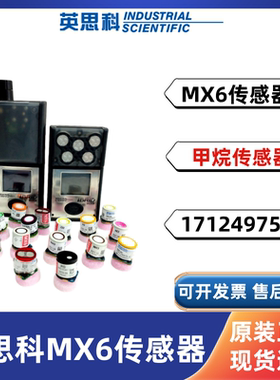 英思科MX6便携式多气体检测仪配件甲烷传感器17124975-N