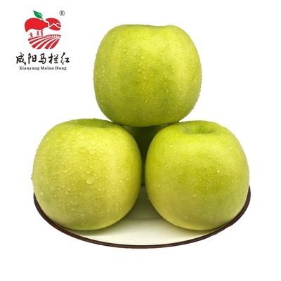 咸阳马栏红陕西地理标志瑞雪苹果