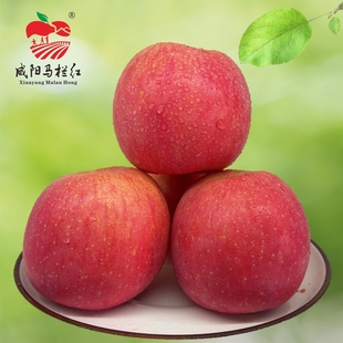 咸阳马栏红地理标志证明陕西红富士苹果当季新鲜精选丑苹果礼盒装