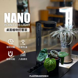 PMS植物灯植物培育灯办公室桌面景观照明灯热植多肉鹿角蕨块根