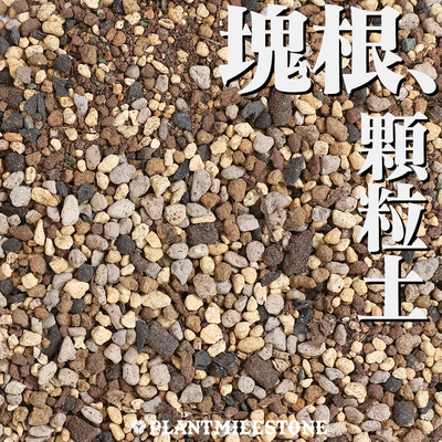 块根植物控养土全颗粒土