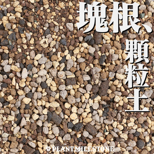 块根植物控养土全颗粒土