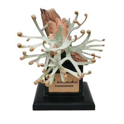 酒柜装饰品摆件轻奢高档风