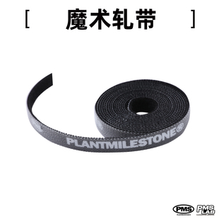 PMS园艺扎线扎带自粘植物绑带热植花烛捆扎带固定绳魔术贴绑花器