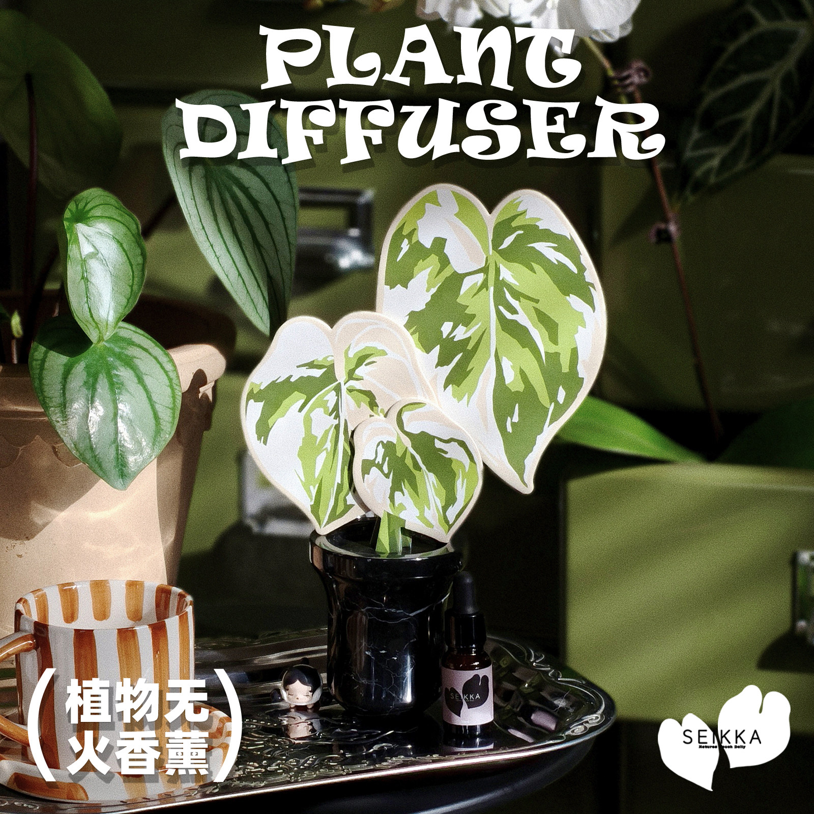 Seikka秋海棠花烛植物无火香薰精油扩香石室内香氛摆件永生花白龟,洗护清洁剂/卫生巾/纸/香薰,香薰挥发液,淘宝优惠券,粉丝福利购,淘宝优惠卷