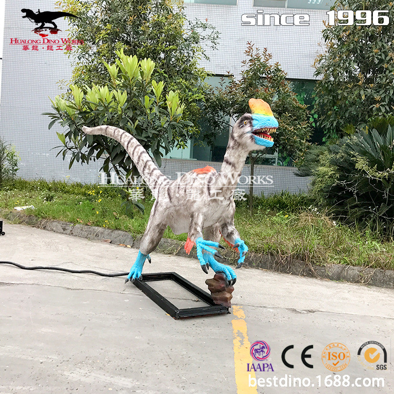 华龙科技仿真粘毛冠龙模型仿真恐龙年生产厂家来样来图定制
