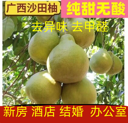 正宗广西桂林沙田柚老树柚子新鲜水果当季9斤容县梅州白心密柚
