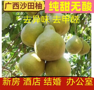 广西容县沙田柚新鲜柚子水果9斤正宗白肉纯甜当季甜柚非金柚