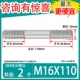 M16*110 [2]