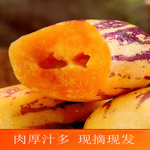 民勤人参果甘肃特产清甜多汁黄肉夏季新鲜精品水果产地优选直发