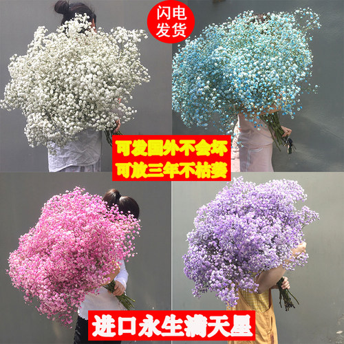 花永生则爱永恒，大盆种植