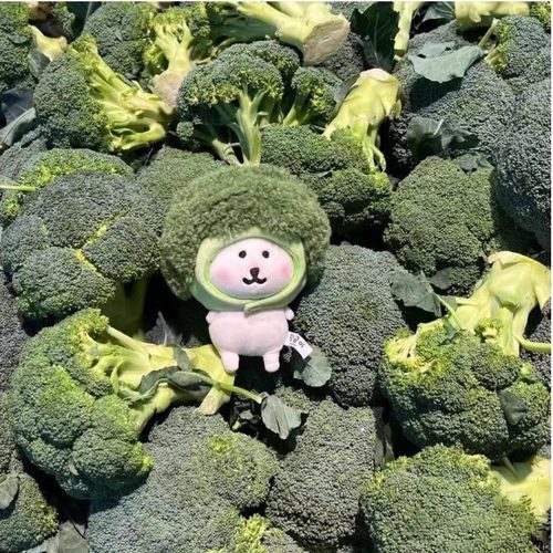 10cm13cm娃衣西蓝花头套帽子自嘲熊衣服棉花娃娃换装毛绒玩偶挂件