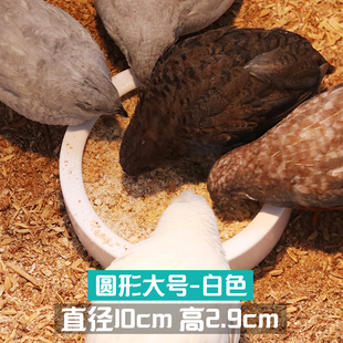 芦丁鸡鹌鹑鸽子鸟喂食器小雏鸡食槽水槽水壶自动饮水器食盆喝水器