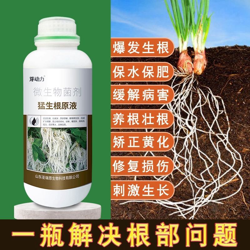 芽动力猛生根原液生根剂生根壮苗剂植物移栽扦插爆发生根液有机水