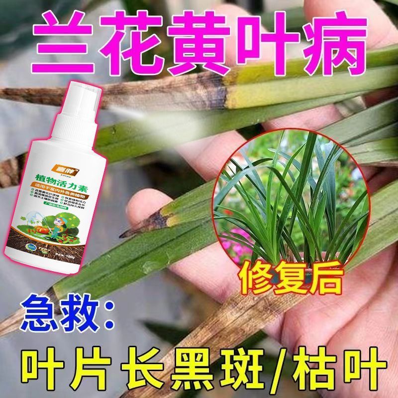 植物活力素家用快速促芽壮根多肉绿植盆栽通用型营养液养花专用