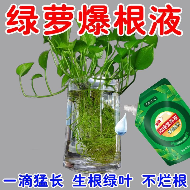 绿萝专用肥料盆栽水培绿萝营养液防黄叶落叶增肥增绿液体肥通用型